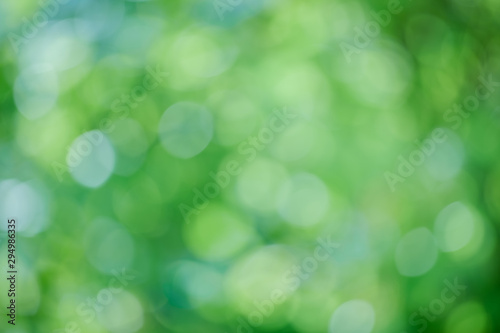 Natural green blurred background for as illustrated