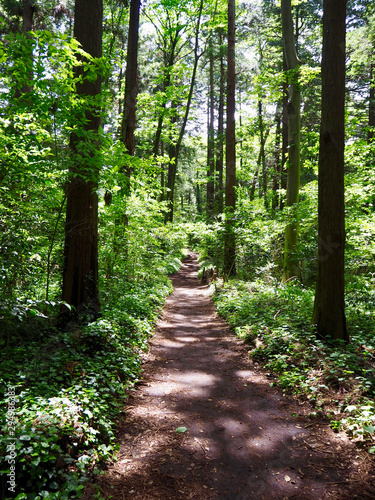 A path