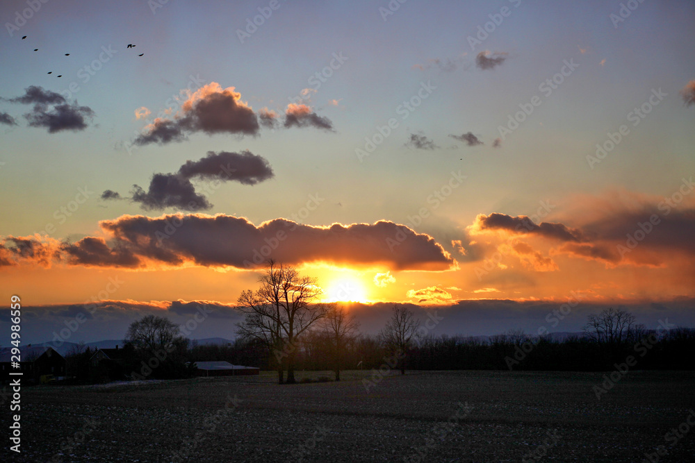 Naklejka premium Sunrise over farm with trees