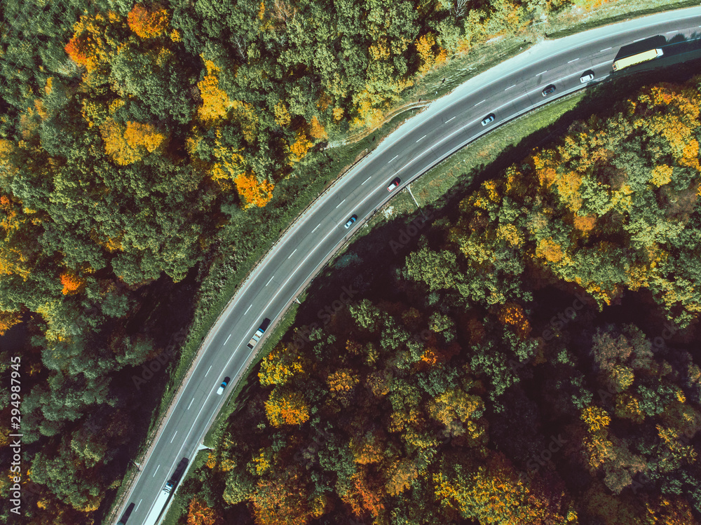 aerial view of autumn highway in forest
