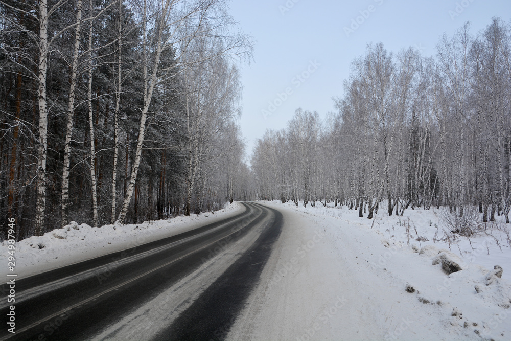 Snowy winter road in pine and birch forest.The Northern part of Russia Snowy winter road in pine and birch forest.The Northern part of Russia