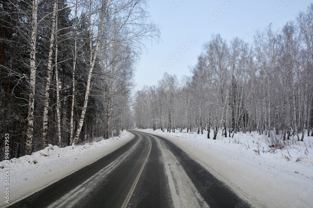 Snowy winter road in pine and birch forest.The Northern part of Russia
