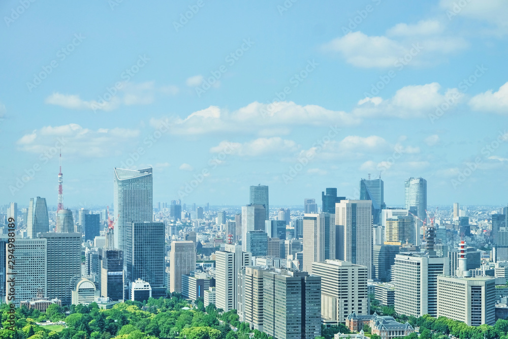 Fototapeta premium 東京風景