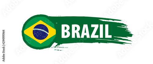 Brazil flag, vector illustration on a white background