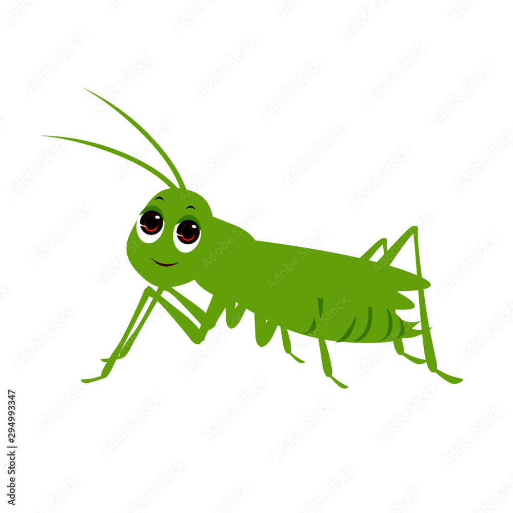 Green Cricket - Cartoon Vector Image Green Cricket - Cartoon Vector Image