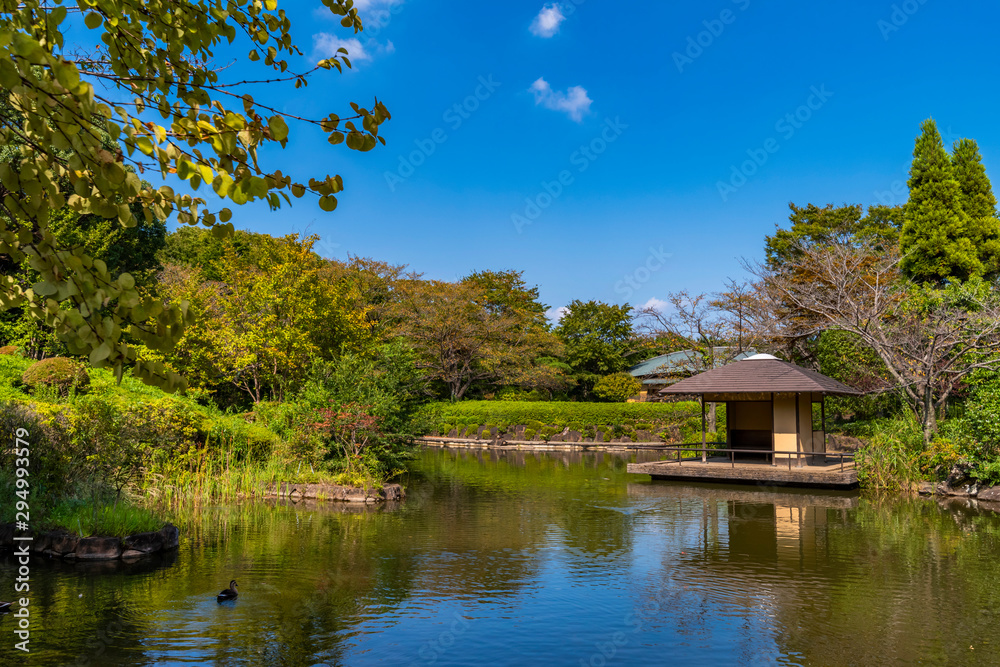 柏の葉公園の日本庭園