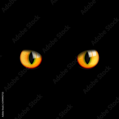 Realistic beautiful 3d cat eyes look in the dark on a black background. Vector illustration. © Максим