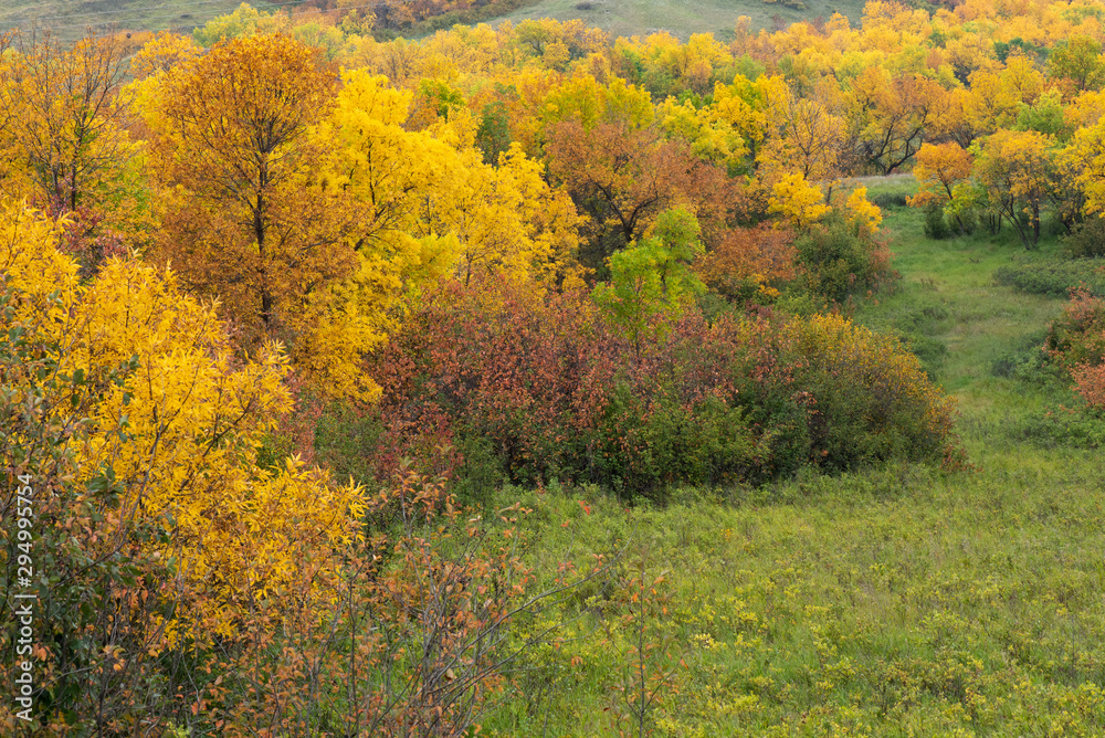 Fall foilage in a valley