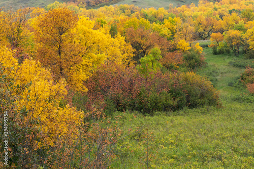 Fall foilage in a valley