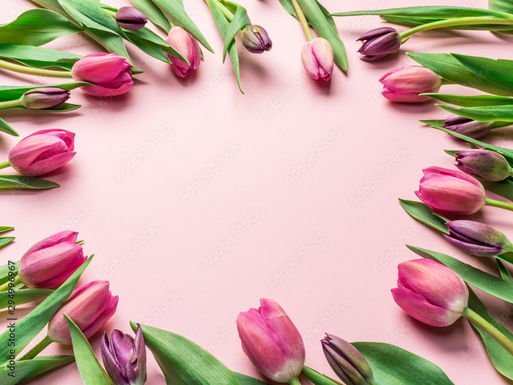 Delicate pink tulips on lightpink background. Delicate pink tulips on lightpink background.