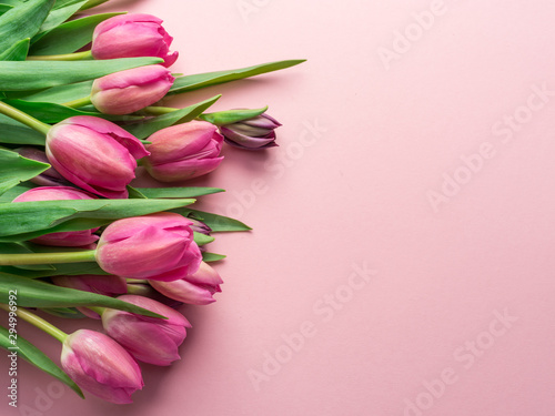 Fototapeta Naklejka Na Ścianę i Meble -  Delicate pink tulips on lightpink background.