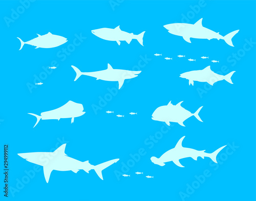 Sea water fish vector