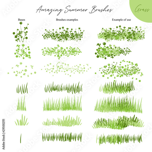 Set of summer vector grass ecology brushes - silhouettes of summer grass, flowers, different Earth greenery types isolated on white, vector illustration brush nature collection
