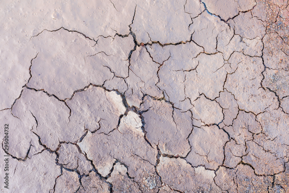 Fototapeta premium Grey dry soil or mud texture for background
