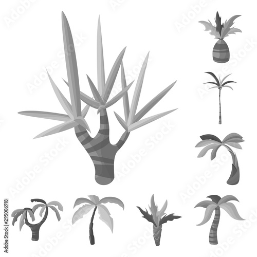 Vector design of jungle and botanical icon. Set of jungle and flora stock symbol for web. photo