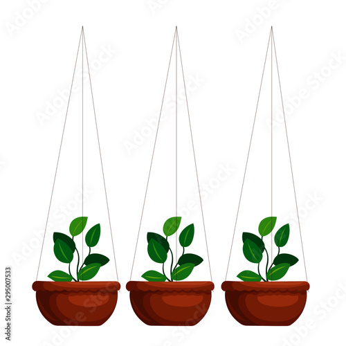 Hanging Pots With Plants - Cartoon Vector Image