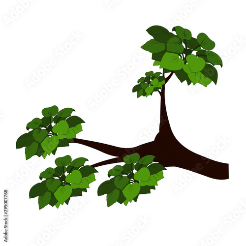 Tree Branch with Leaves - Vector Image