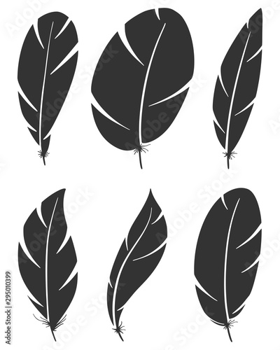 Set of different bird wing feathers. Flying quills symbols. Vector image. © Sviatoslav Kovtun