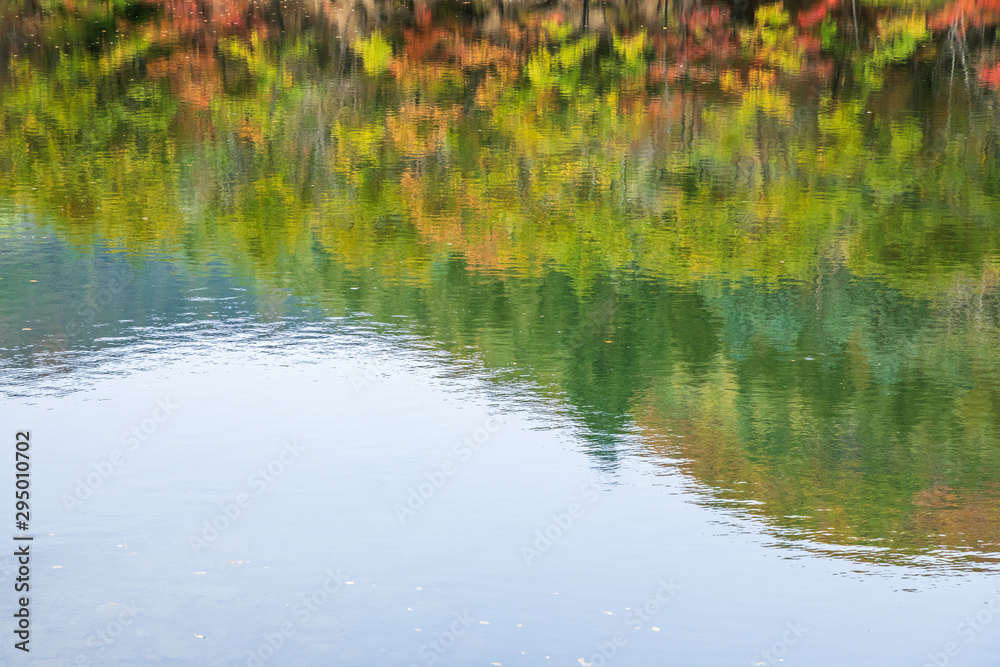 Reflection of autumn forest in the water