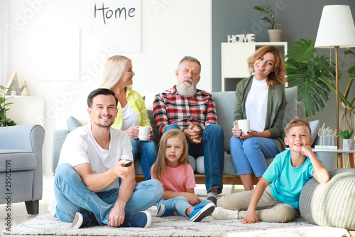 Big family watching TV toge...