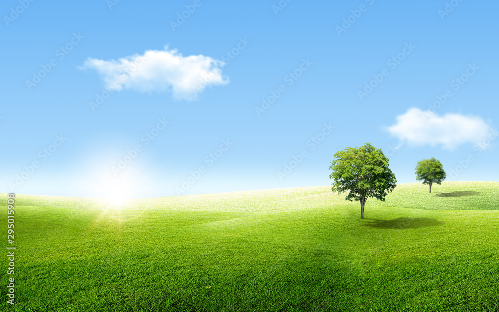 Beautiful landscape view of Alone green tree with grass natural meadow field and little hill with white clouds and blue sky in summer seasonal.
