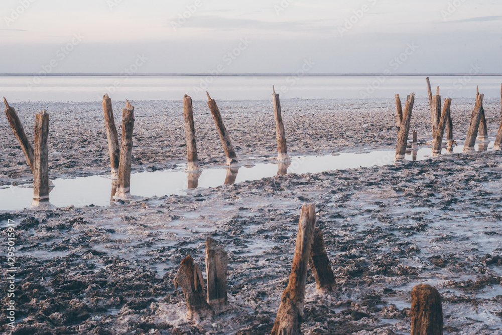 Landscape with water lake and logs of woods. Salt Lake at sunset. Landscape with water lake and logs of woods. Salt Lake at sunset.