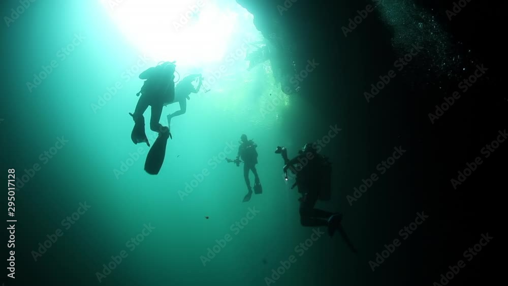 custom made wallpaper toronto digitalDivers in rocks of underwater cave Yucatan Mexico cenotes. Diving in clean and clear underground water.