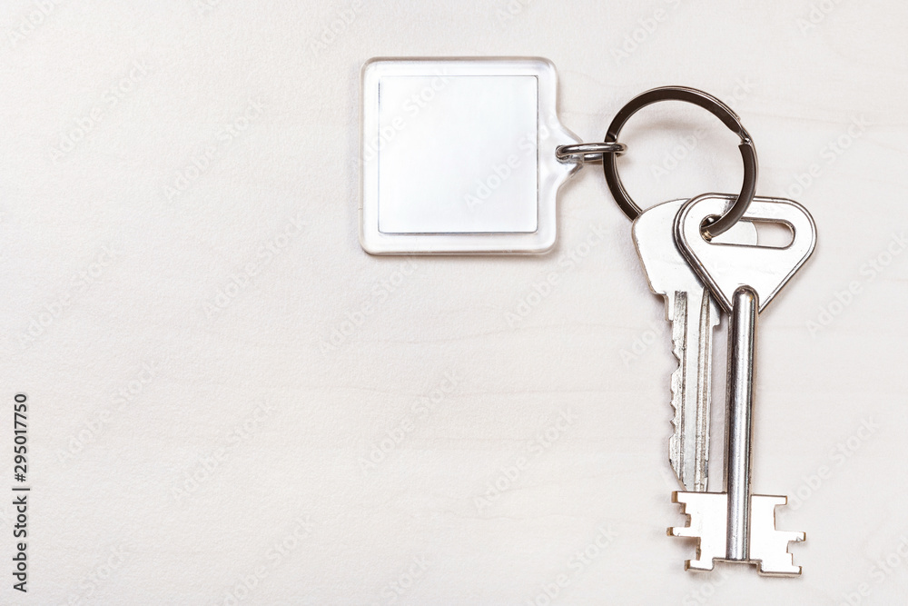 bunch of keys on keyring with blank white keychain