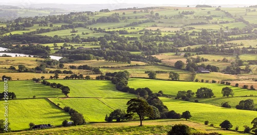 Scenic Countryside Fields at Summer in UK