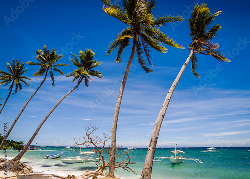 Fototapeta Naklejka Na Ścianę i Meble -  Palm trees and fishing boats at Alona Beach, Panglao Island, Bohol, Philippines