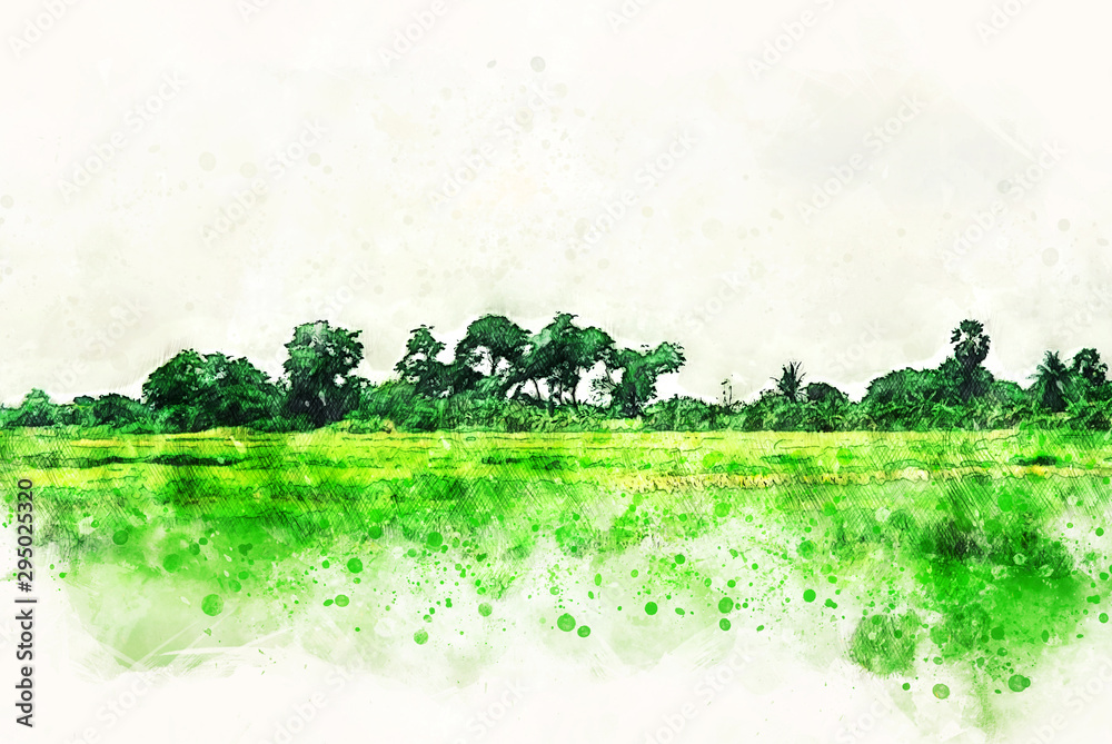 Obraz Abstract Colorful field and landscape tree on watercolor illustration painting background.