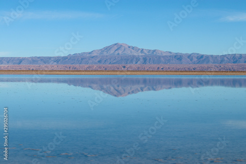 Northern Chile - San Pedro de Atacama - Clear, salt lakes reflect the volcanoes beautifully and a natural feeding ground for birds, wildlife and flamingos - laguna Chaxa and lake Cejar