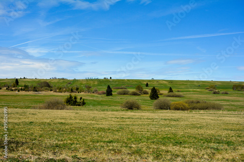 Green landscape with blue sky