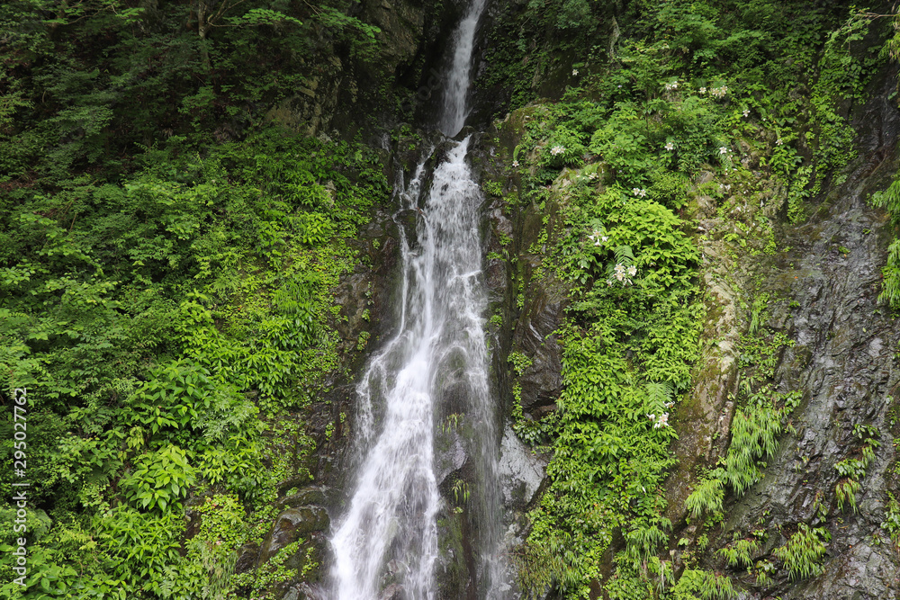 孫右衛門の滝(神奈川県相模原市) 孫右衛門の滝(神奈川県相模原市)