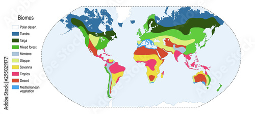 Biomes. world map