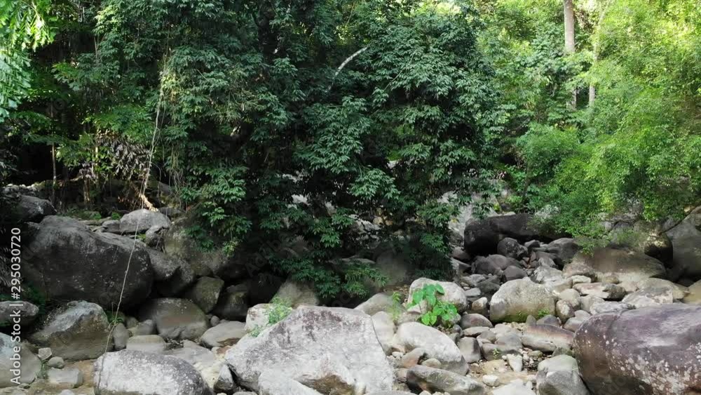 Magical scenery of rainforest and river with rocks. Wild vegetation, deep tropical forest. Jungle with trees over rocky rapids. Steam with stone cascades flows through exotic woods drone view. Magical scenery of rainforest and river with rocks. Wild vegetation, deep tropical forest. Jungle with trees over rocky rapids. Steam with stone cascades flows through exotic woods drone view.