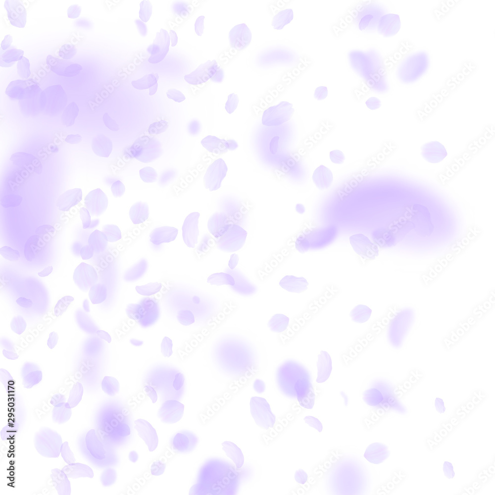 Violet flower petals falling down. Cool romantic f Violet flower petals falling down. Cool romantic f