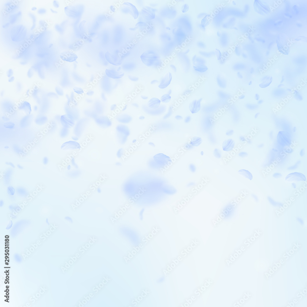 Light blue flower petals falling down. Favorable r Light blue flower petals falling down. Favorable r