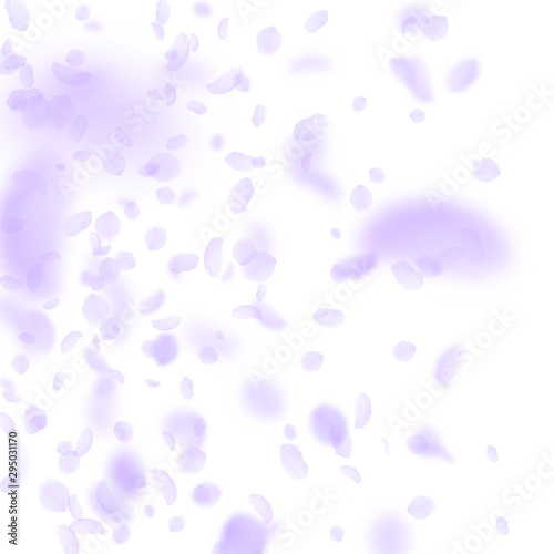 Wallpaper Mural Violet flower petals falling down. Cool romantic f Torontodigital.ca