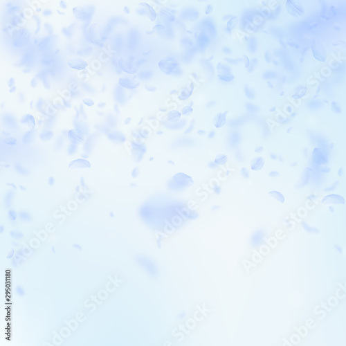 Light blue flower petals falling down. Favorable r