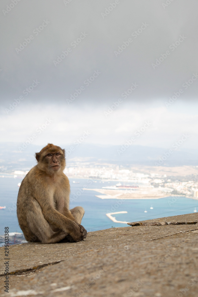 Naklejka premium Relaxed money