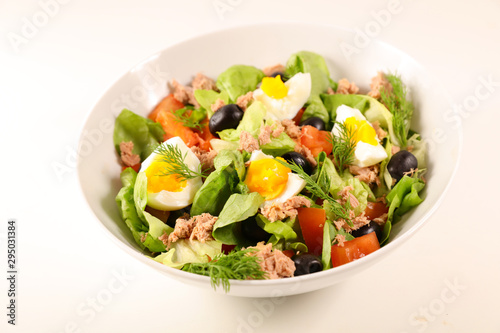 mixed vegetable salad with tomato, egg, tuna and lettuce