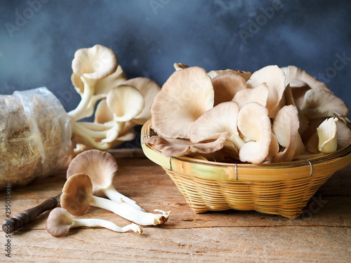 Indian oyster or lung oyster mushroom in bamboo basket on a rustic wooden table. photo