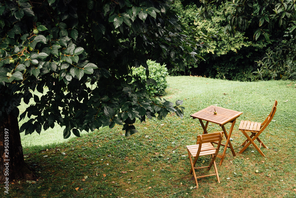 Obraz premium une table et des chaises en bois dans un jardin