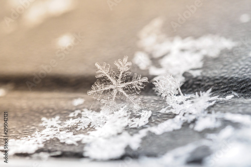 fragment of snow texture Snowflakes covered plan. white pure snow. macro photo. winter. shallow depth of field. Christmas background for layout. christmas theme