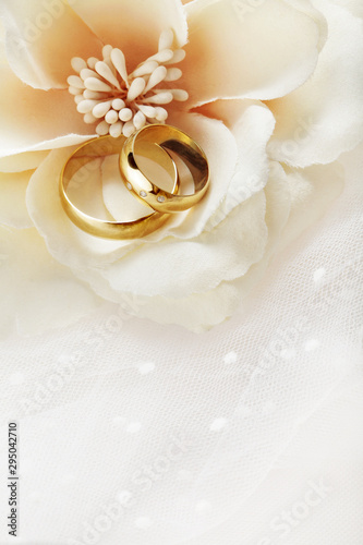 wedding rings with flowers and bridal dress folds