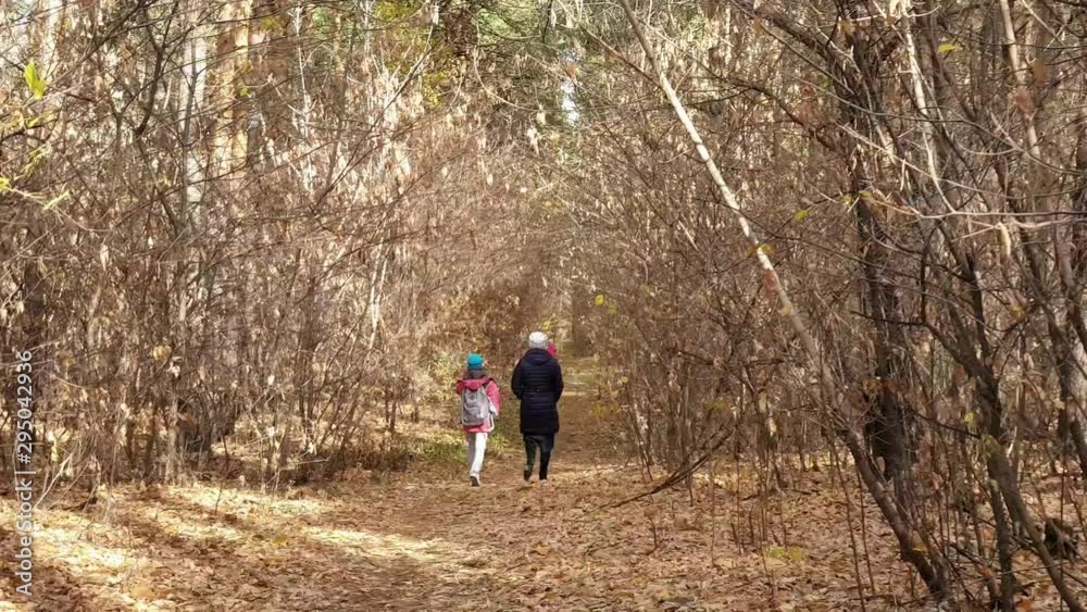 lifestyle a woman walks along an autumn Park on a Sunny day with her two daughters lifestyle a woman walks along an autumn Park on a Sunny day with her two daughters