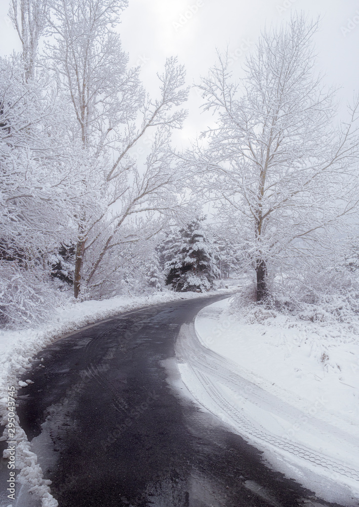 Fototapeta premium Scene with road and snowy forest in the morning