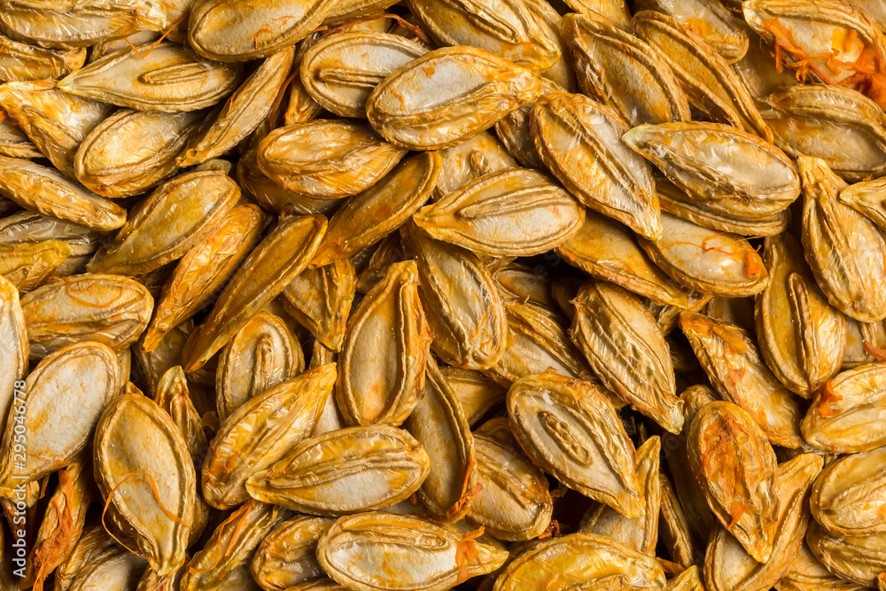 Obraz premium pumpkin seeds