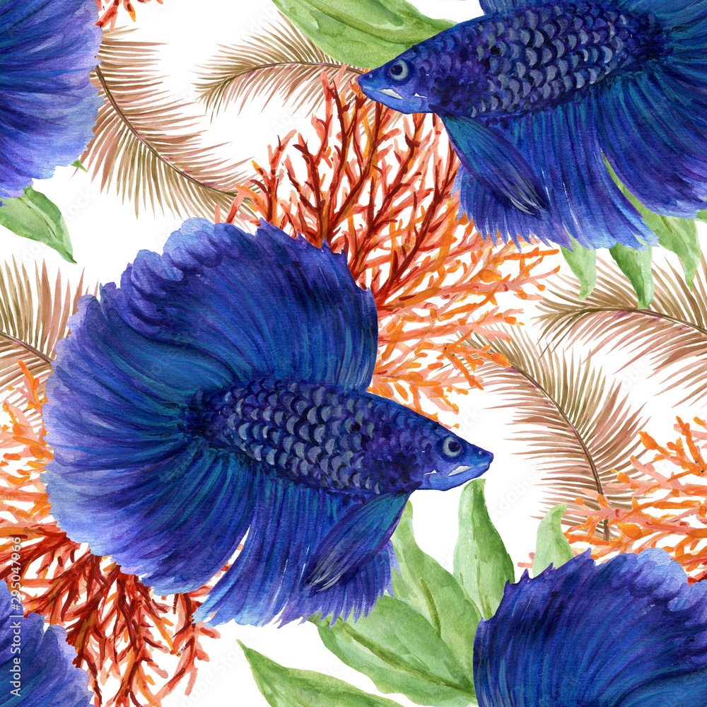 Watercolor Betta fish siamese fighting fish and chinese fighting fish